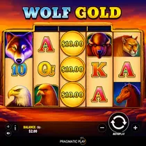 FoxyGold - Wolf Gold Slot - Pragmatic Play Casino Game
